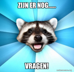 Lame Pun Coon