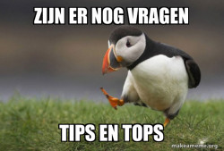 Unpopular Opinion Puffin