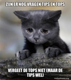 Confession Cat