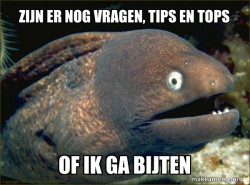 Bad Joke Eel