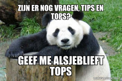 Confession Panda