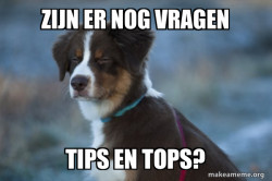 Unsure Dog