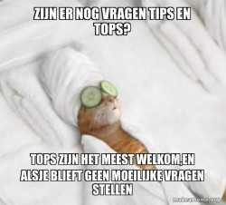 Pampered Cat Meme