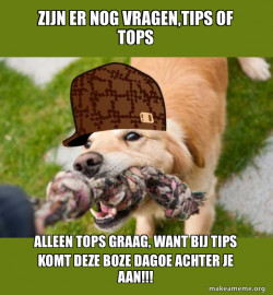 Scumbag dog