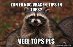 Evil Plotting Raccoon