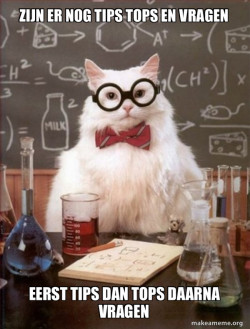 Chemistry Cat