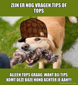 Scumbag dog