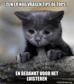 Confession Cat
