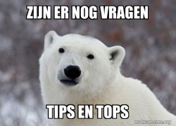 Popular Opinion Polar Bear
