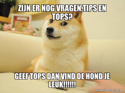 Doge