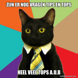 Business Cat