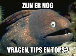 Bad Joke Eel