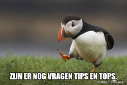 Unpopular Opinion Puffin