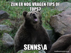 Sarcastic Bear