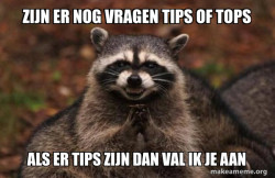 Evil Plotting Raccoon