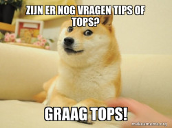 Doge
