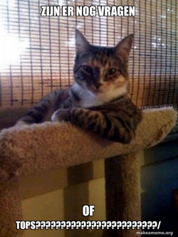 The Most Interesting Cat in the World