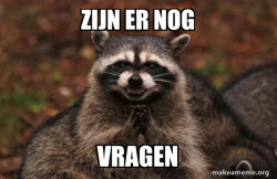 Evil Plotting Raccoon