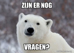 Popular Opinion Polar Bear