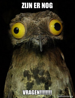 Weird Stuff I do Potoo