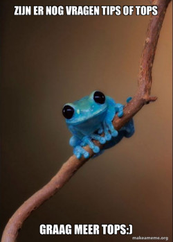 Small Fact Frog