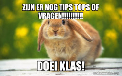 Regretful Rabbit