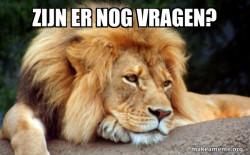 Confession Lion