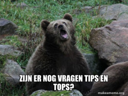 Sarcastic Bear