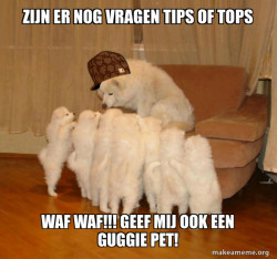 Scumbag Storytelling Dog