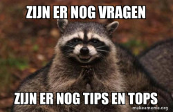 Evil Plotting Raccoon