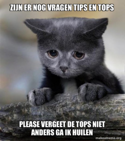 Confession Cat