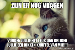 First World Cat Problems