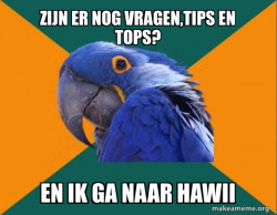 Paranoid Parrot