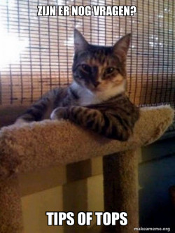 The Most Interesting Cat in the World