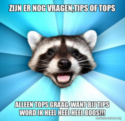 Lame Pun Coon