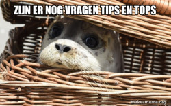Impending Doom Seal
