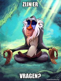 Rafiki Meditating - Lion King