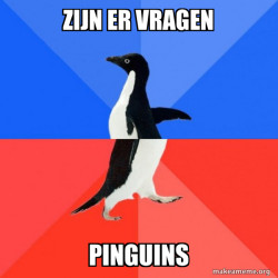 Socially Awkward Awesome Penguin