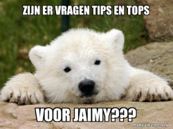 Popular Opinion Bear