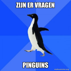 Socially Awkward Penguin