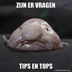Blobfish