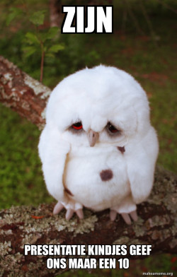 Sad Owl