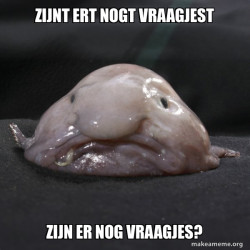 Blobfish