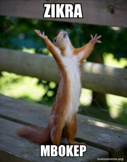 Happy Squirrel