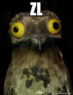Weird Stuff I do Potoo