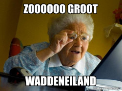 Internet Grandma