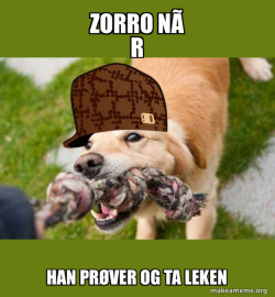 Scumbag dog