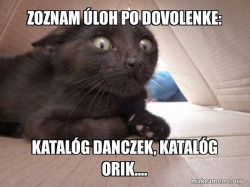 Schitzo Cat