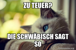 First World Cat Problems