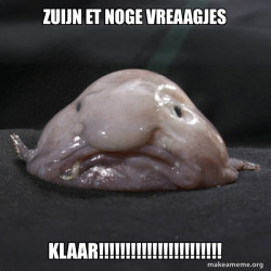 Blobfish